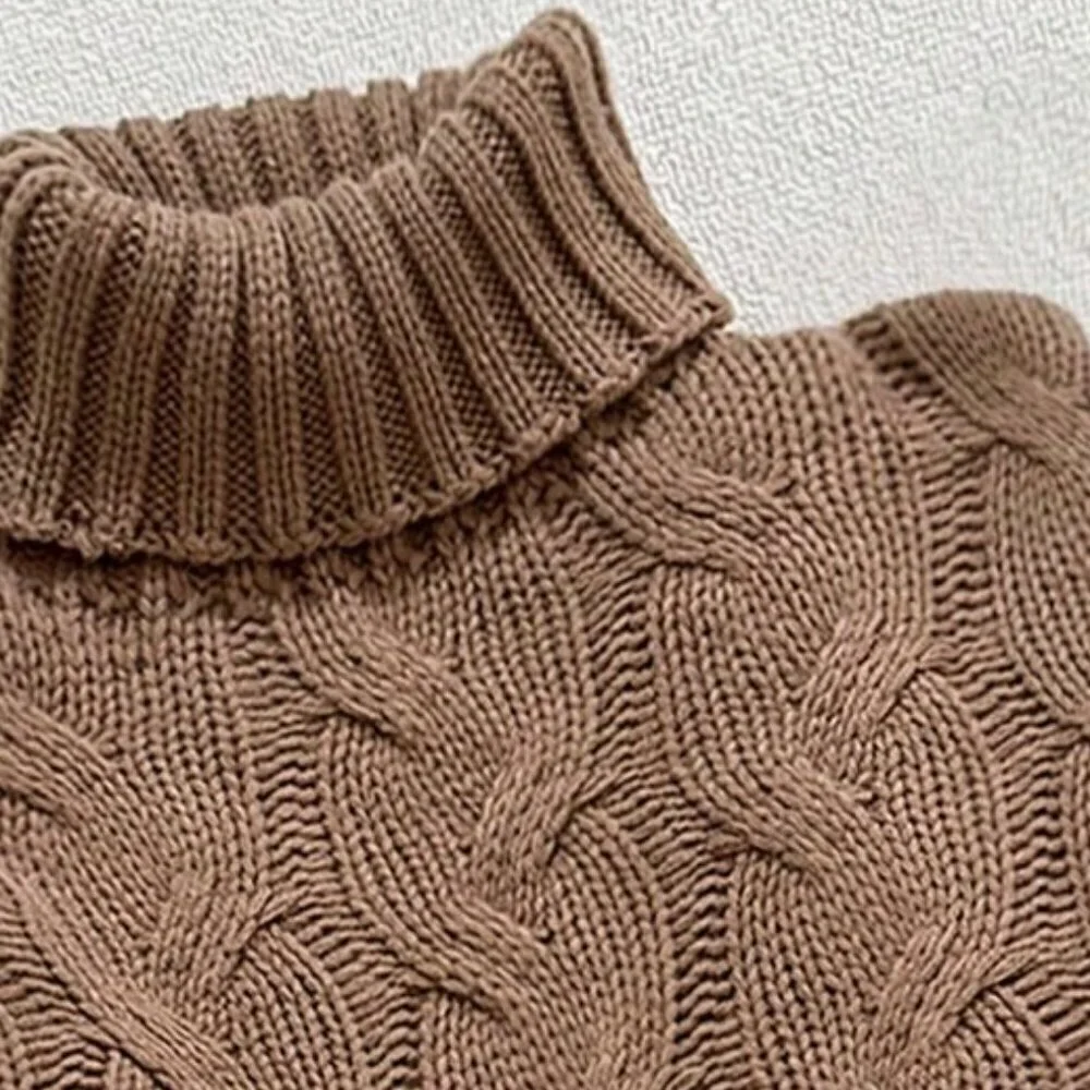 Brown Casual Women's Comfortable Twisted Rope Pattern Textured High neck sweater